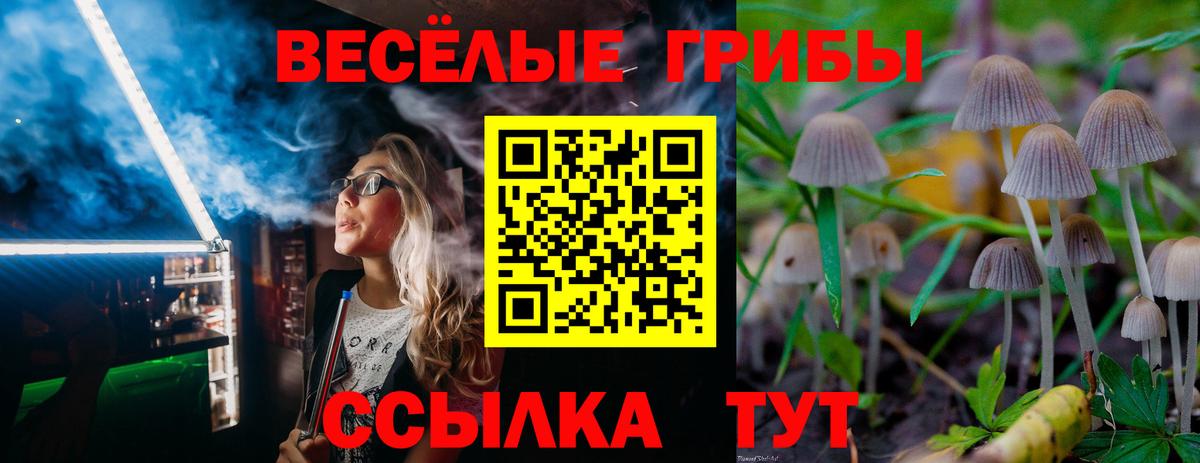 Тихорецк  купить наркоту  Галлюциногенные грибы GOLDEN TEACHER  Вход с VPN  Псилоцибиновые грибы ЛСД 